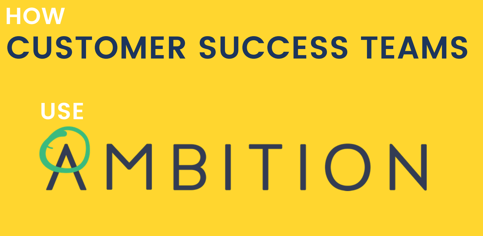 How Customer Success Teams Use Ambition